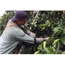 The Woodlands Computer-Aided Design (CAD) CEU <br/>November 12, 2025<br/>Candlewood Suites<br/>17525 St. Luke's Way<br/>The Woodlands, TX 77384 The Woodlands Computer-Aided Design (CAD) CEU <br/>November 12, 2025<br/>Candlewood Suites<br/>17525 St. Luke's Way<br/>The Woodlands, TX 77384