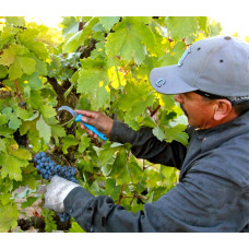 San Antonio Irrigator - In Person <br/>January 20-23, 2026<br/>Fairfield Inn & Suites<br/>5008 Corridor Loop<br/>Schertz, TX  78154