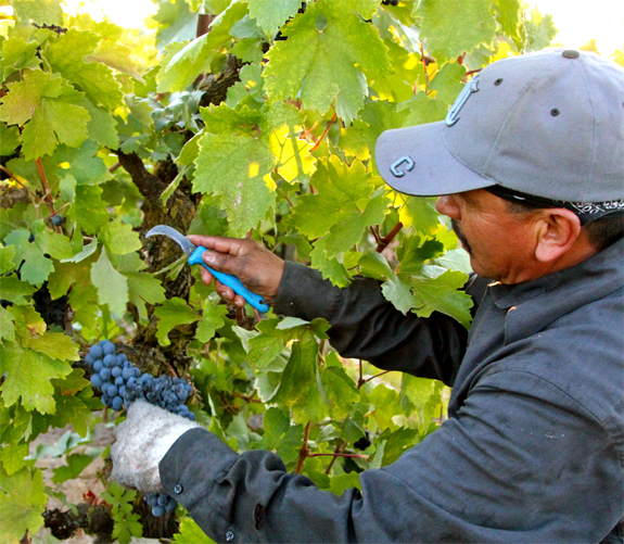 Irrigation Training Classes